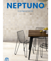Nouvelle brochure Neptuno